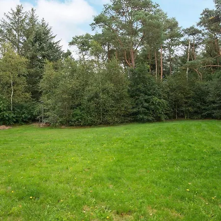 Holiday Bording Ii